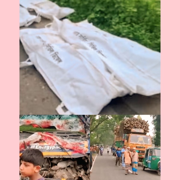 সখীপুরে বাঁশবোঝাই ট্রাক ও মুরগিবাহী পিকআ