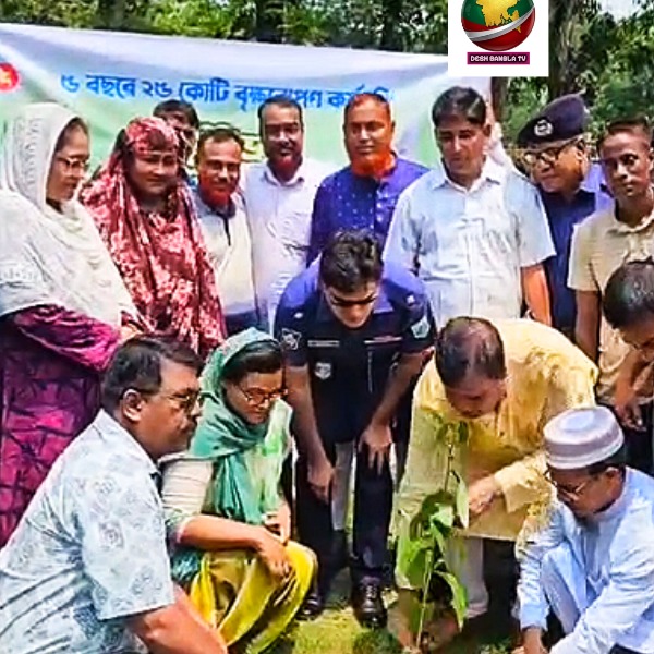 বগুড়া নন্দীগ্রামে ‘পাঁচ বছরে ২৫ কোটি বৃক্ষরোপণ’ কর্মসূচির শুভ উদ্বোধন এমপি মোশারফ