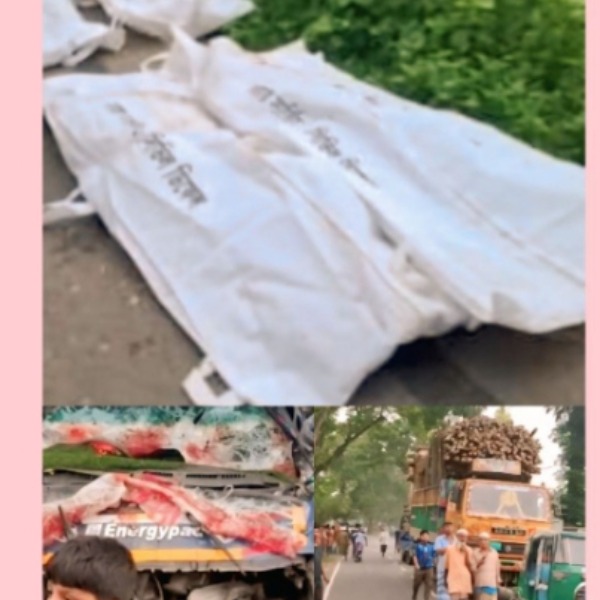 সখীপুরে বাঁশবোঝাই ট্রাক ও মুরগিবাহী পিকআপের সংঘর্ষে নিহত ৪