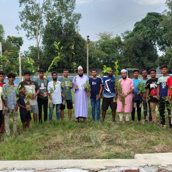 কালিহাতী জোয়াইর মাদ্রাসা প্রাঙ্গণে সবুজ