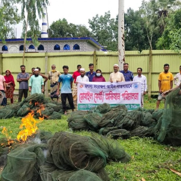 কালিহাতীতে অবৈধ চায়না দুয়ারী জালের বিরুদ্ধে মোবাইল...