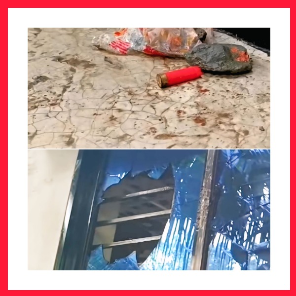 কালিহাতীতে ছাত্রদল নেতার বাড়ি লক্ষ্য করে গুলি, এলা...