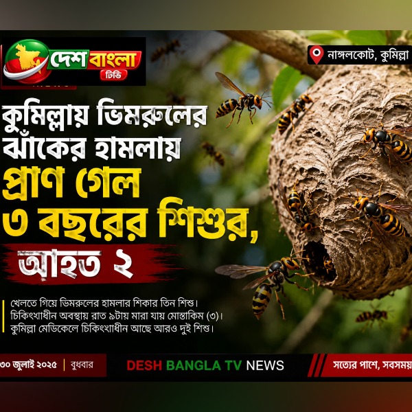 কুমিল্লায় ভিমরুলের ঝাঁকের হামলায় প্রাণ গ