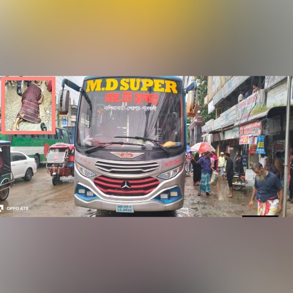 ঘাটাইলে বাসের চাপায় প্রাণ গেল বৃদ্ধার, চ