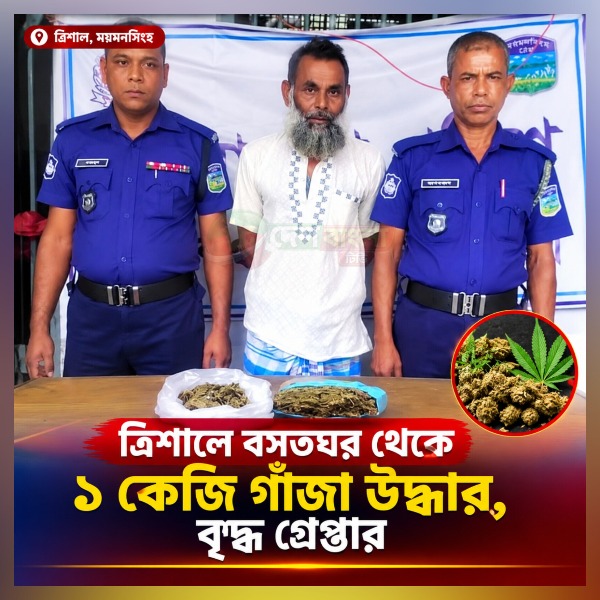 ত্রিশালে বসতঘর থেকে ১ কেজি গাঁজা উদ্ধার,
