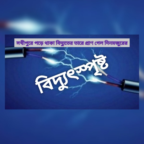 সখীপুরে পড়ে থাকা বিদ্যুতের তারে প্রাণ গে