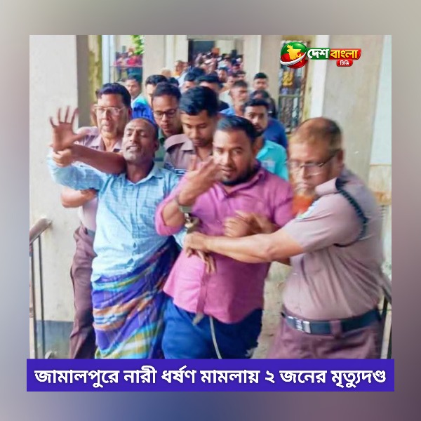 জামালপুরে নারী ধর্ষণ মামলায় ২ জনের মৃত্