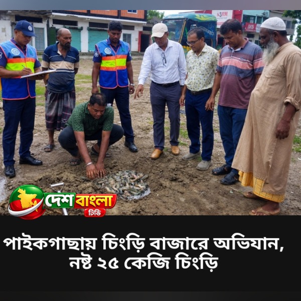 পাইকগাছায় চিংড়ি বাজারে অভিযান, নষ্ট ২৫ ক