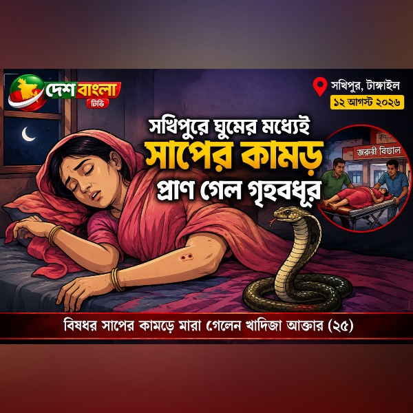 সখিপুরে ঘুমের মধ্যেই সাপের কামড়, প্রাণ গ