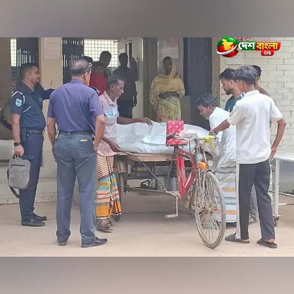 সখীপুরে অটোভ্যানে বিদ্যুৎ সংযোগ দিতে গিয়ে প্রাণ গে...