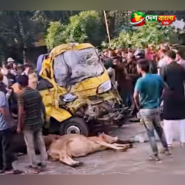 কালিয়াকৈরে বাস-ট্রাক সংঘর্ষে নিহত ২, আহত ৩...