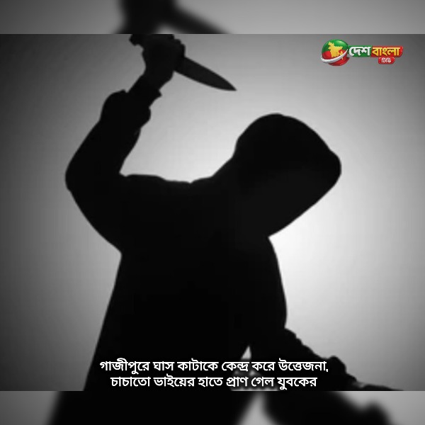 গাজীপুরে ঘাস কাটাকে কেন্দ্র করে উত্তেজনা, চাচাতো ভ...