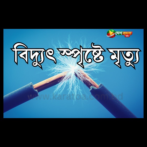 দেওয়ানগঞ্জে বিদ্যুৎস্পৃষ্টে মা-ছেলের মৃত্যু, দাদি ...