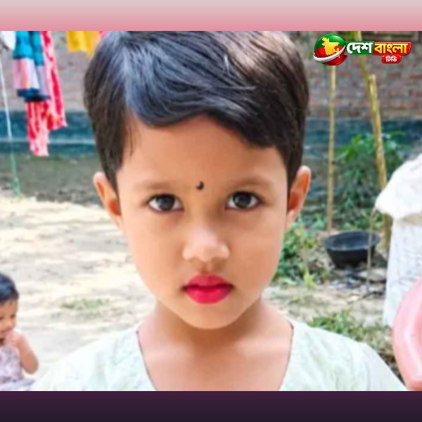 সড়ক পার হতে গিয়ে অ্যাম্বুলেন্সের ধাক্কা, প্রাণ গেল...