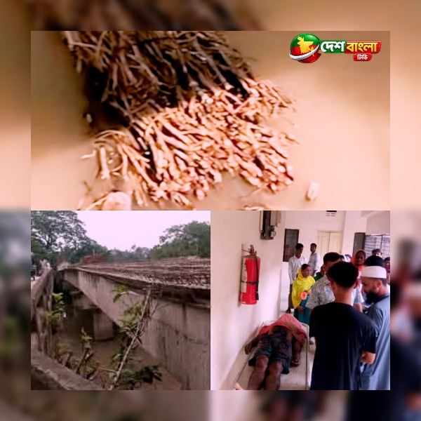 কালিহাতীতে লাকড়িবোঝাই ঠেলাগাড়ির চাপায় প্রাণ গেল চা...