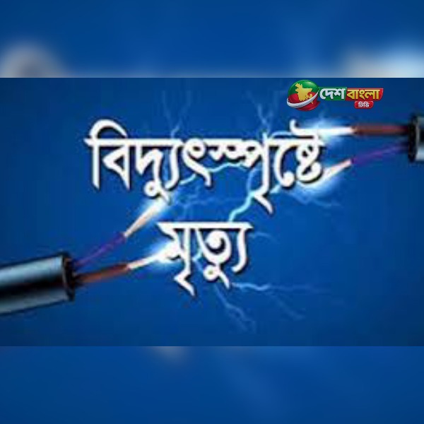 যশোরে গাছের পাতা কাটতে গিয়ে বিদ্যুৎস্পৃষ্টে যুবকের...