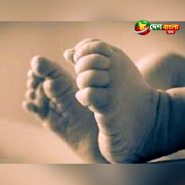 বরিশালে ময়লার স্তূপে দুই নবজাতকের মরদেহ, তদন্তে পু...
