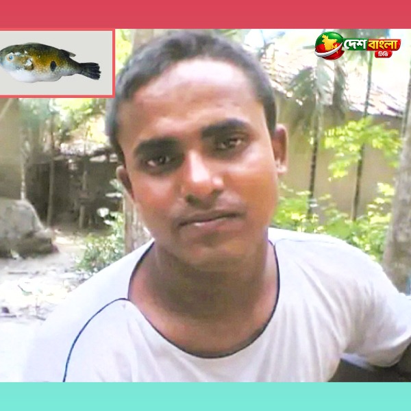 আশাশুনিতে টিপা মাছ খেয়ে পরিবারের ৫ জন অস