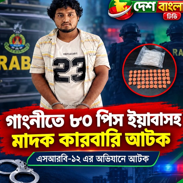 গাংনীতে ৮০ পিস ইয়াবাসহ যুবক আটক, থানায় হ