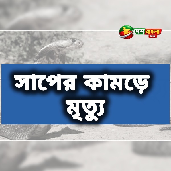 শৈলকুপায় নানাবাড়িতে ঘুমন্ত শিশুর সাপের ক