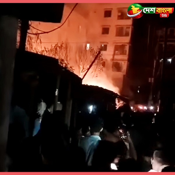 কালিয়াকৈরে ভয়াবহ আগুন, পুড়ল ২৩ ঘর ও ৫ দো