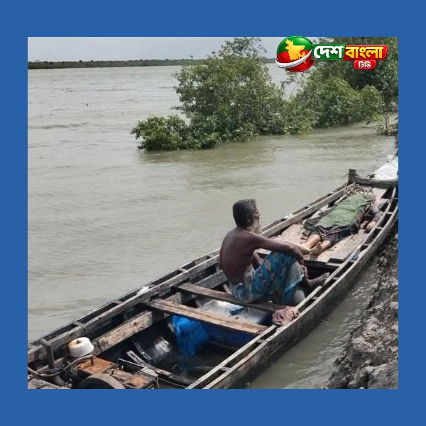 সুন্দরবনসংলগ্ন এলাকায় কেওড়া গাছ থেকে পড়ে