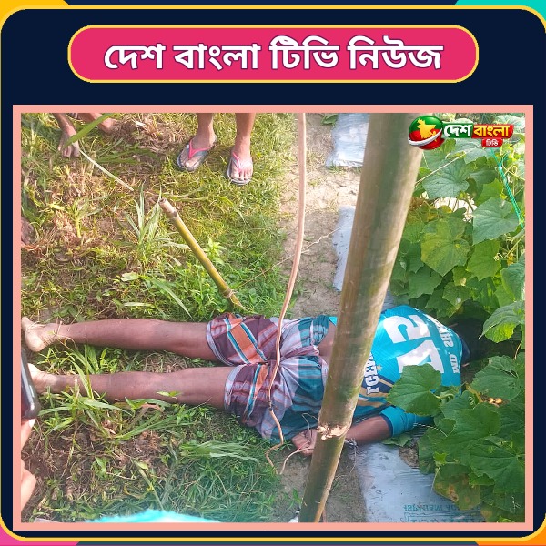 পাঁচবিবিতে শশা ক্ষেতে বিদ্যুৎস্পৃষ্ট হয়ে