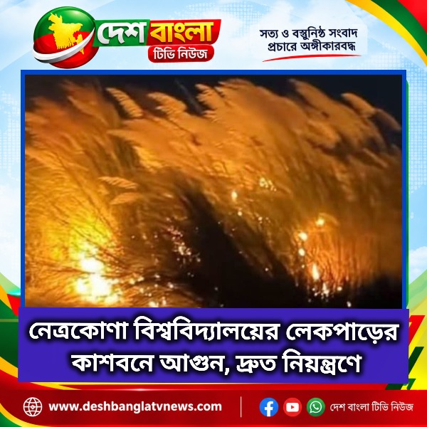 নেত্রকোণা বিশ্ববিদ্যালয়ের লেকপাড়ের কাশবন