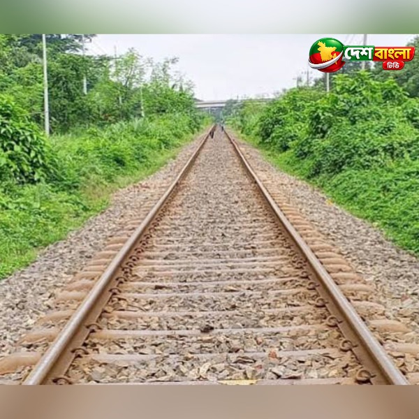 স্বামীর মৃত্যুর কয়েক ঘণ্টার পর ট্রেনে কা