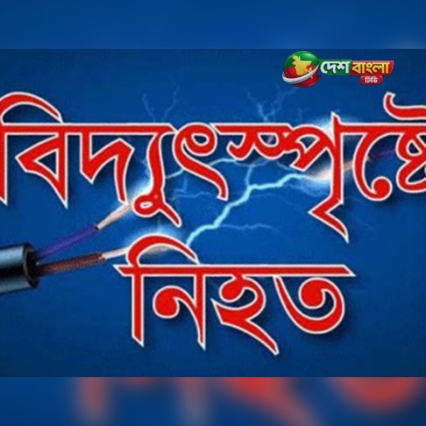 ভালুকায় ছেঁড়া বিদ্যুতের তারে প্রাণ গেল চ