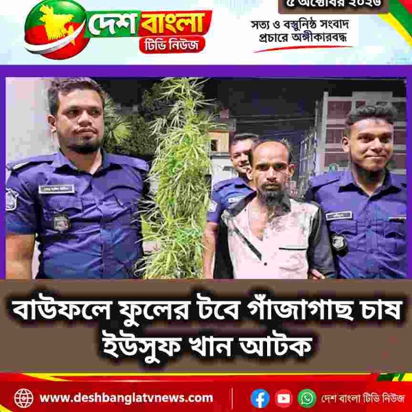 বাউফলে ফুলের টবে গাঁজাগাছ চাষ, ইউসুফ খান