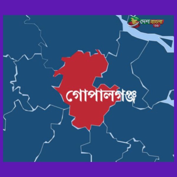 কাশিয়ানীতে মহাসড়ক পার হতে গিয়ে বাসের ধাক