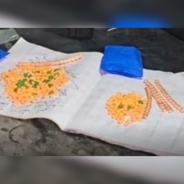 টাঙ্গাইলে বাড়িতে অভিযান, ৩৮০ ইয়াবা ও ২০ 