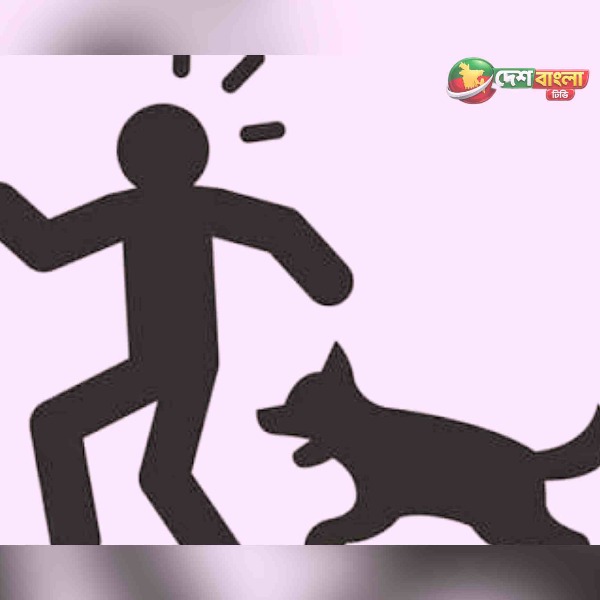কুমারখালীতে এক কুকুরের হামলায় আহত ৪২, আতঙ্কে শহরবা...