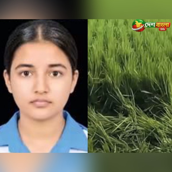 কুমিল্লায় ধানক্ষেত থেকে কিশোরীর মরদেহ উদ্ধার, পাশে...