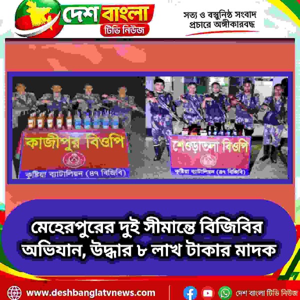 মেহেরপুরের দুই সীমান্তে বিজিবির অভিযান, উদ্ধার ৮ ল...