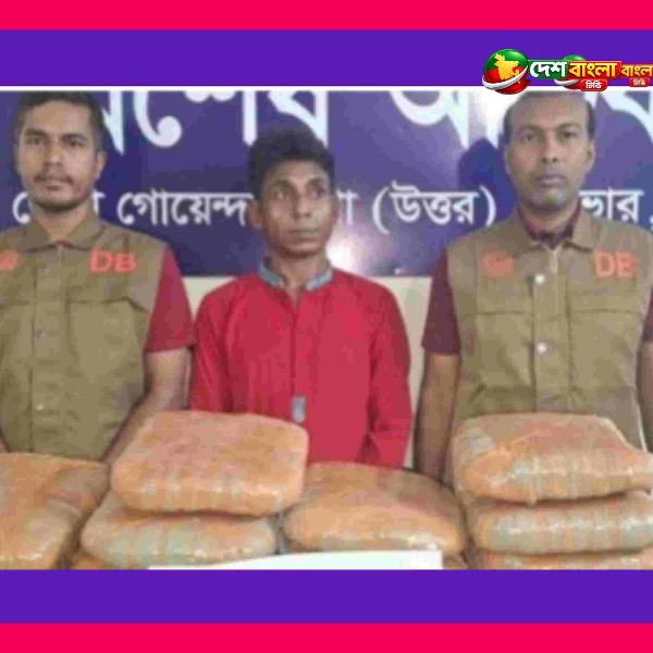 আশুলিয়ায় ৫২ কেজি গাঁজাসহ একজন গ্রেপ্তার, পিকআপ জ...
