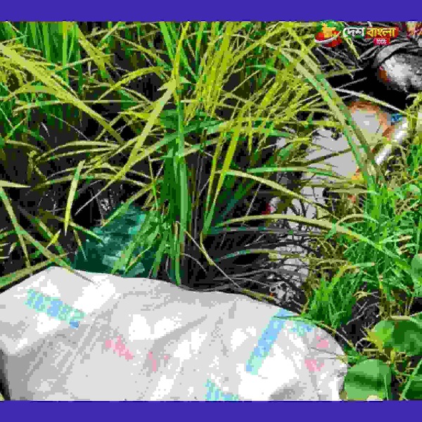 কুমিল্লায় নিখোঁজের ১০ দিন পর ধানখেতে মিলল যুবকের ম...