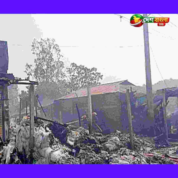 শ্রীপুরে ভয়াবহ আগুনে মসজিদসহ একাধিক দোকান পুড়ে ছাই...