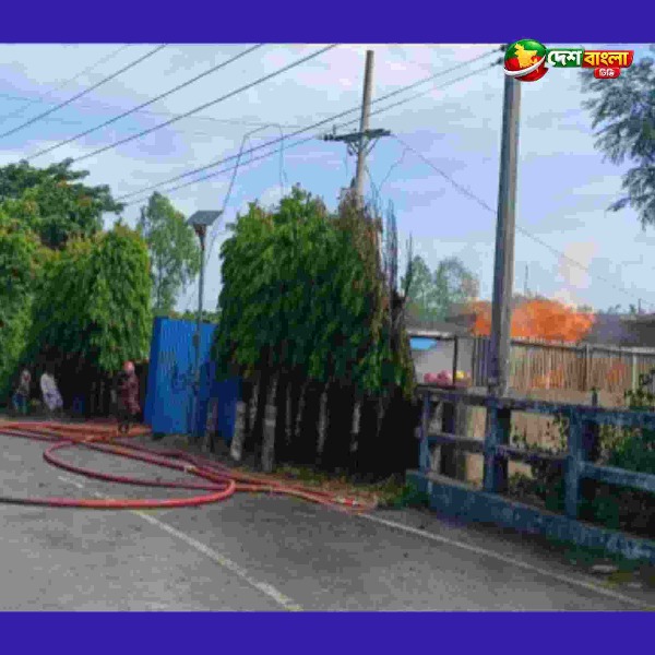কক্সবাজারের উখিয়ার ইনানীতে মাটি খুঁড়তে
