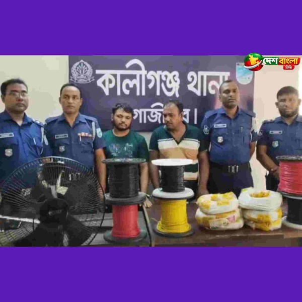 গাজীপুরের কালীগঞ্জে ডাকাতির ১৫ দিন পর মা